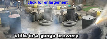 illegal gongo brewery